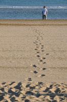 A person's footprints on a beach