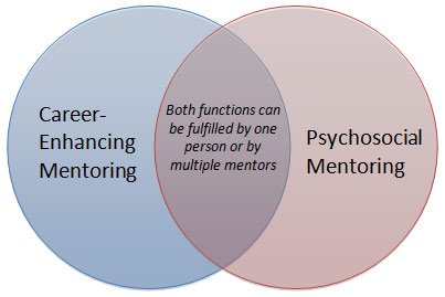 Both mentoring functions can be fulfilled by one person or by multiple mentors